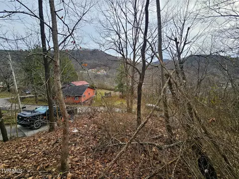 tbd Ridge Avenue Appalachia Va 24216, Appalachia, VA 24216