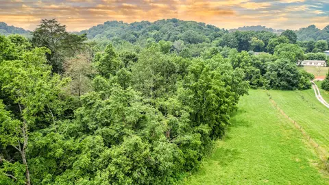 tbd W Pines Road Afton Tn 37616, Afton, TN 37616