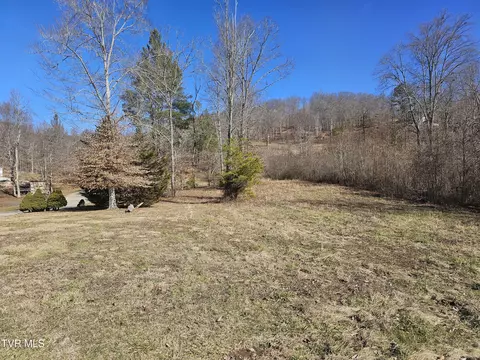 0 Old Leadmine Bend Rd Lot Apt 53 Road Sharps Chapel Tn 37866, Sharps Chapel, TN 37866