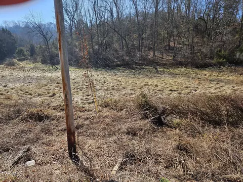 0 Blue Springs Mosheim Tn 37818, Mosheim, TN 37818