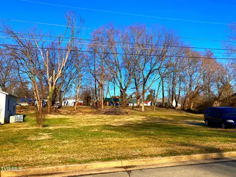 1411 E Millard Street Johnson City Tn 37601, Johnson City, TN 37601 photo 4