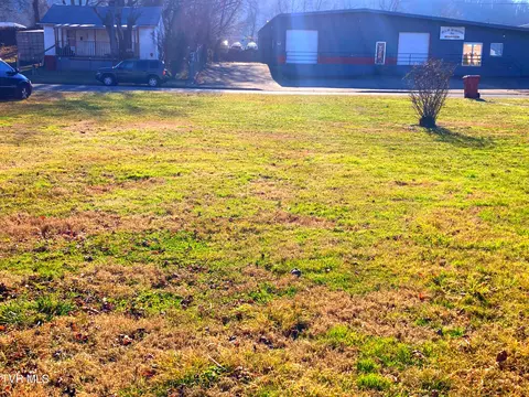 1411 E Millard Street Johnson City Tn 37601, Johnson City, TN 37601 photo 3