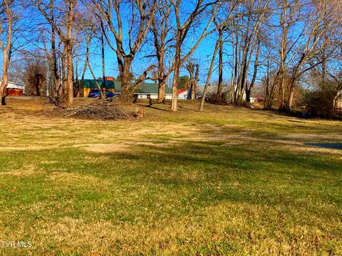 1411 E Millard Street Johnson City Tn 37601, Johnson City, TN 37601