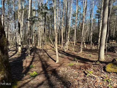 512 Lawing Road Chuckey Tn 37641, Chuckey, TN 37641 photo 12