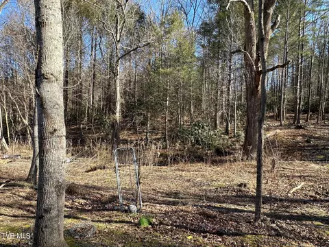 512 Lawing Road Chuckey Tn 37641, Chuckey, TN 37641 photo 10