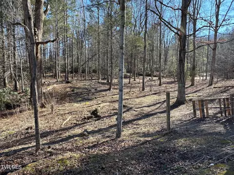 512 Lawing Road Chuckey Tn 37641, Chuckey, TN 37641 photo 9