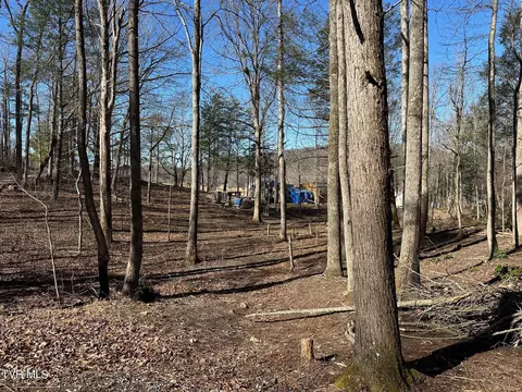 512 Lawing Road Chuckey Tn 37641, Chuckey, TN 37641 photo 13