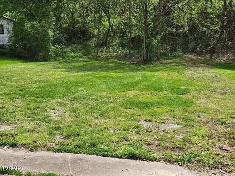 1025 Globe Street Kingsport Tn 37660, Kingsport, TN 37660