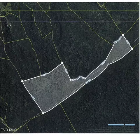 55 88 Ac Widow Hollow Road Greeneville Tn 37745, Greeneville, TN 37745