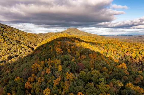 378 Ac Caney Creek Lane Greeneville Tn 37745, Greeneville, TN 37745
