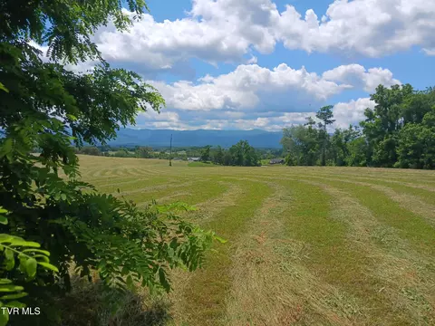 0 Old Stage Road Afton Tn 37616, Afton, TN 37616