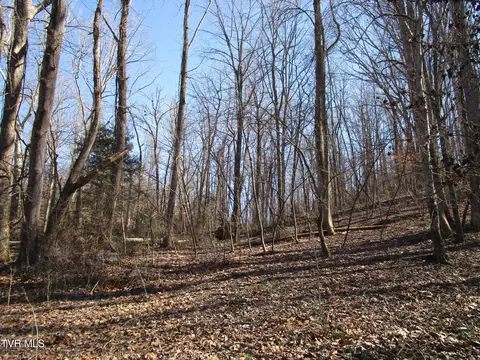 tbd Mccarty Church Road Jonesborough Tn 37659, Jonesborough, TN 37659