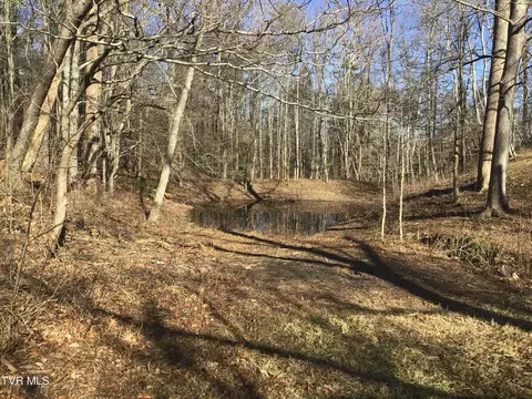 View/Area - 251 Bearfield Road Chuckey Tn 37641, Chuckey, TN 37641 photo 5 of 9