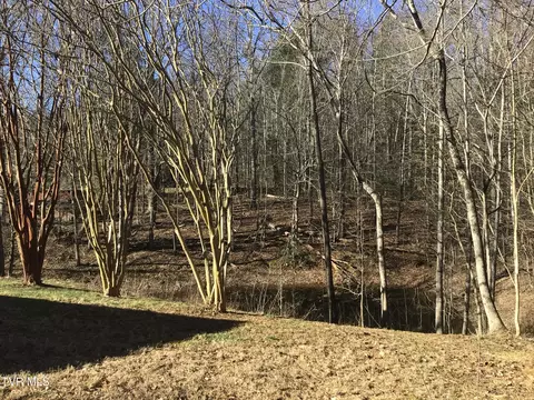 View/Area - 251 Bearfield Road Chuckey Tn 37641, Chuckey, TN 37641 photo 7 of 9