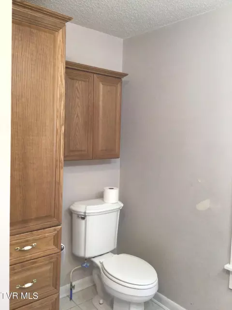 Other - 251 Bearfield Road Chuckey Tn 37641, Chuckey, TN 37641 photo 23 of 36