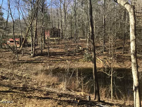 View/Area - 251 Bearfield Road Chuckey Tn 37641, Chuckey, TN 37641 photo 8 of 9