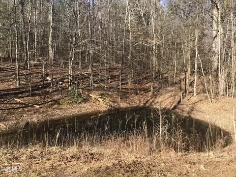 View/Area - 251 Bearfield Road Chuckey Tn 37641, Chuckey, TN 37641 photo 9 of 9