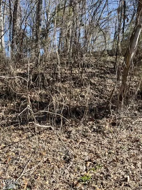 801 Burwind Court Kingsport Tn 37660, Kingsport, TN 37660