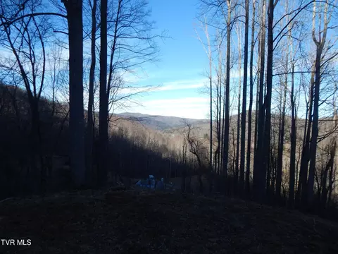 tbd Roan Springs Rd Roan Mountain Tn 37687, Roan Mountain, TN 37687