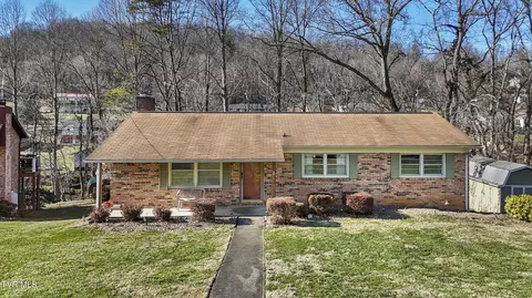 217 Lonewood Drive Kingsport Tn 37663, Kingsport, TN 37663