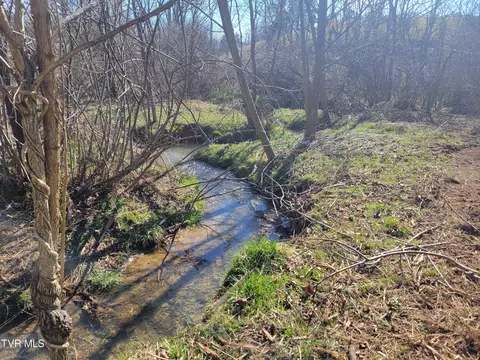lot1 Dulaney Road Jonesborough Tn 37659, Jonesborough, TN 37659