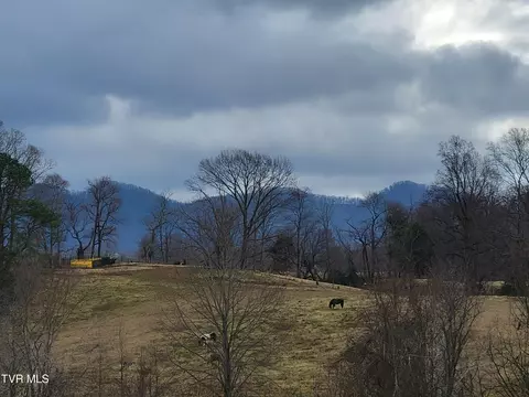 lot2 Dulaney Road Jonesborough Tn 37659, Jonesborough, TN 37659
