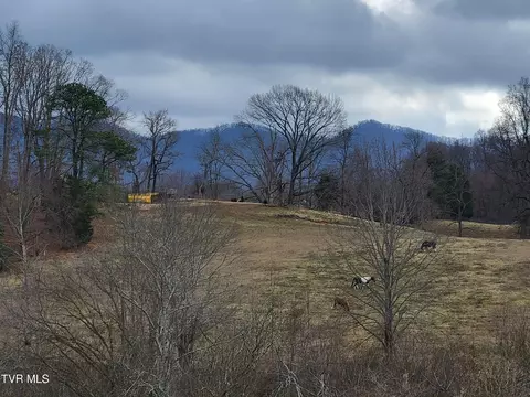 lot3 Dulaney Road Jonesborough Tn 37659, Jonesborough, TN 37659
