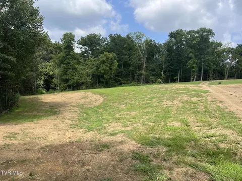 tbd Redwood Lane Mosheim Tn 37818, Mosheim, TN 37818