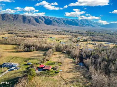 View/Area - 1445 Bishop Loop Greeneville Tn 37743, Greeneville, TN 37743 photo 3 of 7