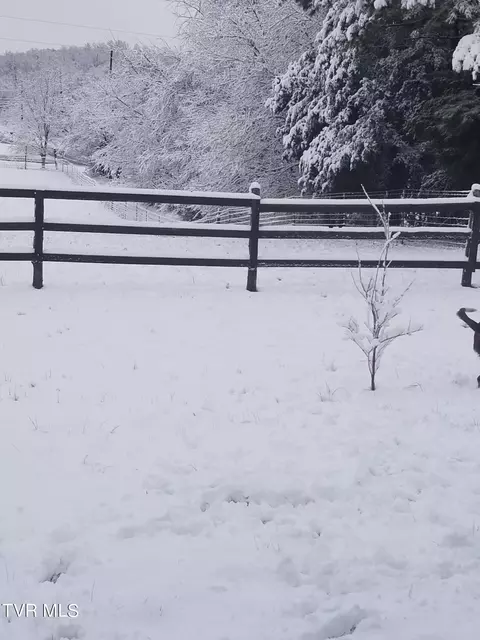 View/Area - 1445 Bishop Loop Greeneville Tn 37743, Greeneville, TN 37743 photo 5 of 7