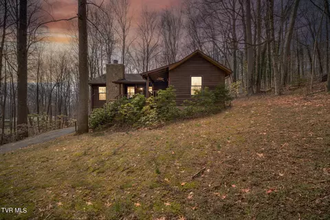 111 Woodside Court Gray Tn 37615, Gray, TN 37615