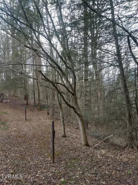 tbd S Of Hwy 19 Roan Mountain Tn 37687, Roan Mountain, TN 37687