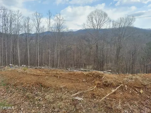 lot72 Golf Course Road Unicoi Tn 37692, Unicoi, TN 37692