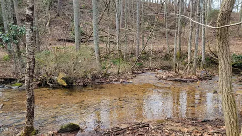 00 Stout Branch Road Mountain City Tn 37683, Mountain City, TN 37683