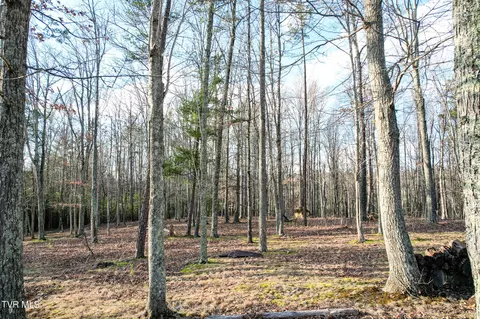 lot S 45 Frank Roberts Road Chuckey Tn 37641, Chuckey, TN 37641