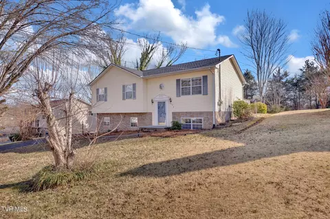 282 Ridgeview Drive Gray Tn 37615, Gray, TN 37615