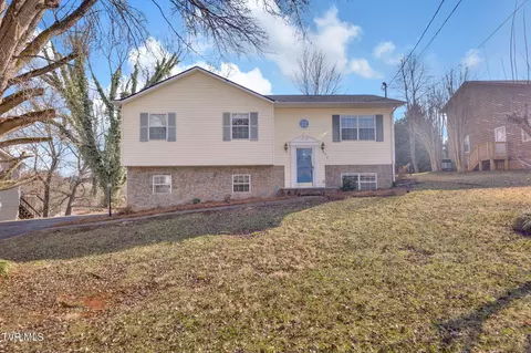 282 Ridgeview Drive Gray Tn 37615, Gray, TN 37615 photo 2