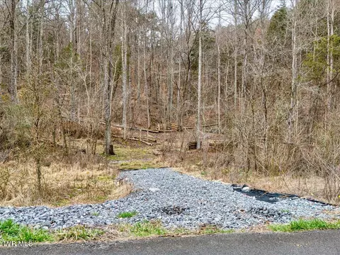 1367 Bruner Grove Road Bybee Tn 37713, Bybee, TN 37713