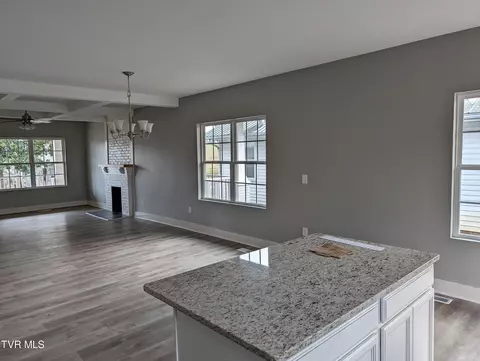 Other - 403 E 8th Avenue Johnson City Tn 37601, Johnson City, TN 37601 photo 1 of 3