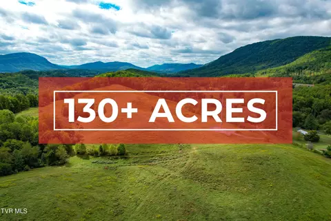 130 Acres Back Valley Road Big Stone Gap Va 24219, Big Stone Gap, VA 24219