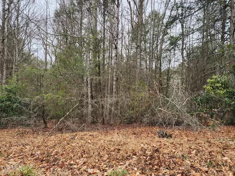 400 Racoon Ravine Lane Lot 9b Mountain City Tn 37683, Mountain City, TN 37683