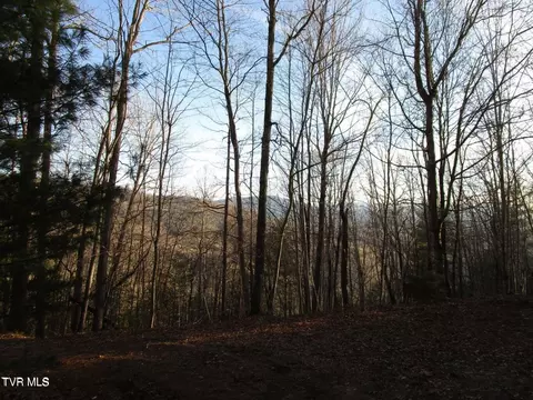 000 Of Little Dry Run Road Butler Tn 37640, Butler, TN 37640