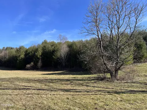 tbd Robinson Hollow Lane Mountain City Tn 37683, Mountain City, TN 37683