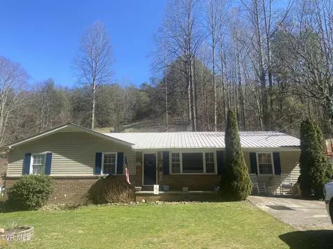 252 Ground Squirrel Road Del Rio Tn 37727, Del Rio, TN 37727