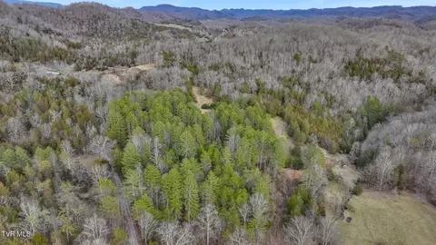 675 Roller Lane Blackwater Va 24221, Blackwater, VA 24221