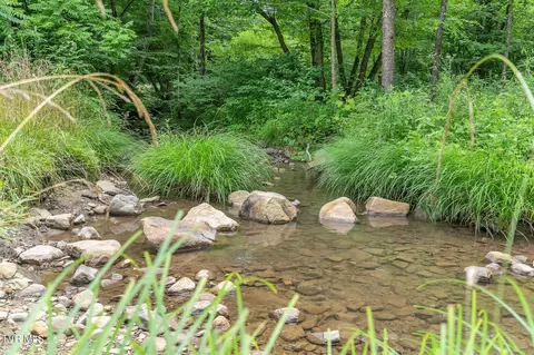 726 Wyatt Hollow Road Bristol Tn 37620, Bristol, TN 37620
