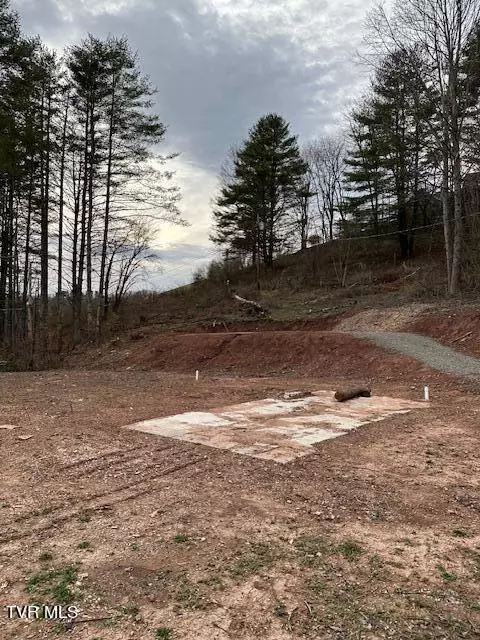 223 Cressview Road Mountain City Tn 37683, Mountain City, TN 37683