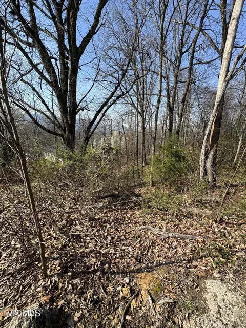 2137 Hiara Drive Kingsport Tn 37660, Kingsport, TN 37660