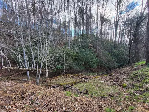 1544 Shingletown Road Mountain City Tn 37683, Mountain City, TN 37683 photo 16