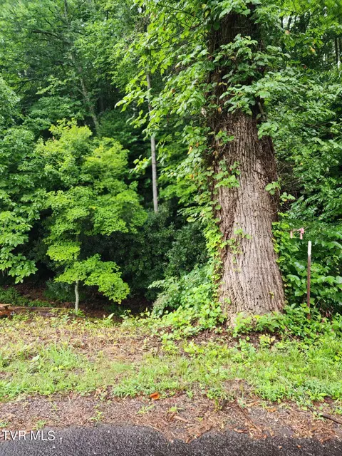 1544 Shingletown Road Mountain City Tn 37683, Mountain City, TN 37683 photo 28